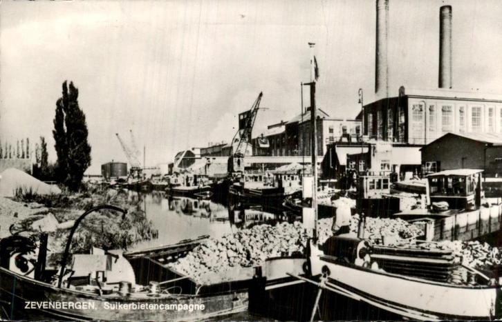 Zevenbergen - Suikerbietencampange, Verzamelen, Ansichtkaarten | Nederland, Gelopen, Noord-Brabant, Voor 1920, Ophalen of Verzenden