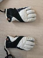 Ski handschoenen maat L dames, Ophalen of Verzenden, Gedragen, Maat 42/44 (L), Handschoenen