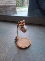 Glazen stolp met houten voet en touw, Ophalen, Zo goed als nieuw