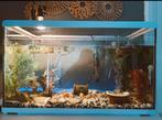 Aquarium, Dieren en Toebehoren, Vissen | Aquaria en Toebehoren, Ophalen, Zo goed als nieuw, Leeg aquarium