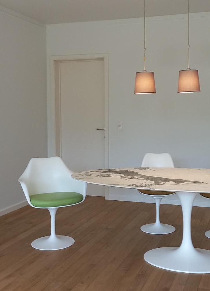 kussens tulipe voor stoelen  eero  saarinen , tulipe tafels, Huis en Inrichting, Woonaccessoires | Kussens, Nieuw, Overige kleuren