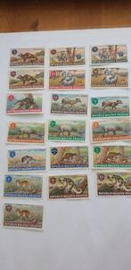 6493 maluku selatan wilde dieren, Verzenden