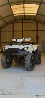 Kawasaki Brute Force 750cc