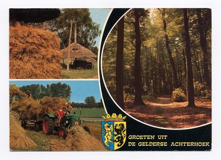 Groeten Gelderse Achterhoek - Gelderland Deutz tractor boer, Verzamelen, Ansichtkaarten | Nederland, Gelopen, Gelderland, 1980 tot heden