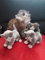 Francien van Westering kat Noortje met 3 kittens, Ophalen of Verzenden, Zo goed als nieuw, Poes