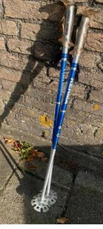 Zgan Ski Kinder ski stokken. In zeer goede staat 80 cm, Sport en Fitness, Gebruikt, Stokken, Ophalen of Verzenden, Skiën