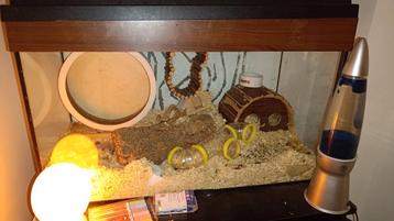 Hamsterkooi beschikbaar voor biedingen