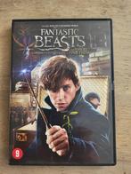 DVD Fantastic beasts and where to find them - rowling, Ophalen of Verzenden, Gebruikt