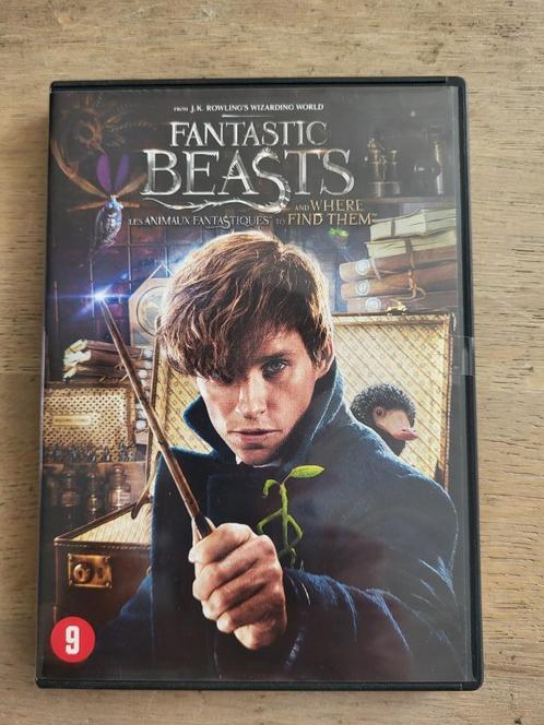 DVD Fantastic beasts and where to find them - rowling, Cd's en Dvd's, Dvd's | Tv en Series, Gebruikt, Ophalen of Verzenden