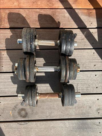 Dumbbells 38.5KG totaal  beschikbaar voor biedingen