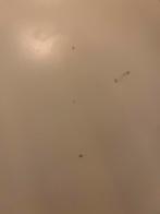 IKEA Tafelblad Bureaublad 150x75, Kunststof, Gebruikt, Rechthoekig, 50 tot 100 cm