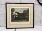 Horses Lithograph Print " Match'em" After John Woolton, Antiek en Kunst, Ophalen of Verzenden