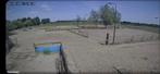 Paddock paradise Breda heeft plek, Dieren en Toebehoren, Stalling en Weidegang