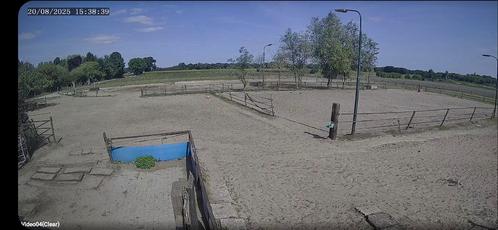 Paddock paradise Breda heeft plek, Dieren en Toebehoren, Stalling en Weidegang
