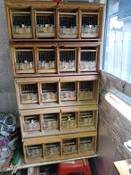 Zangkooien, Dieren en Toebehoren, Vogels | Hokken en Kooien, Ophalen of Verzenden, Zo goed als nieuw, Hout, Vogelkooi