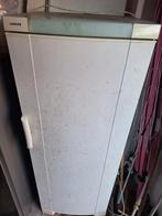 Gratis Zanker vriezer - Werkt prima!, Witgoed en Apparatuur, Vriezers en Diepvrieskisten, Ophalen