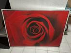 Schilderij met roos erop te koop, Ophalen, 125 cm of meer, Schilderij, 75 cm of meer