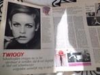 artikel over Twiggy flair documentaire, Ophalen of Verzenden, Gebruikt, Boek, Tijdschrift of Artikel