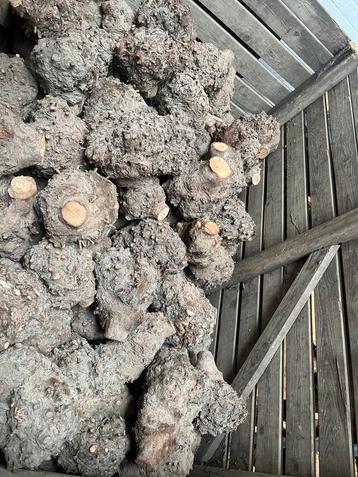 Houtdraaibank hout knot stukken plataan 20/30cm zie tekst beschikbaar voor biedingen