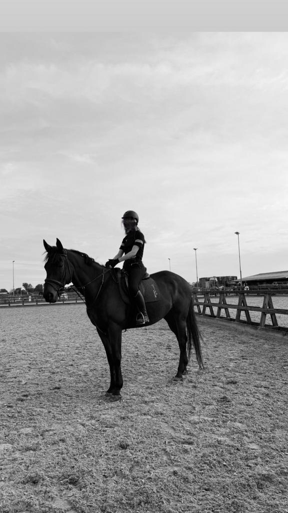 Verzorger/bijrijder aangeboden, Dieren en Toebehoren, Paarden en Pony's | Verzorgingsproducten, Ophalen of Verzenden