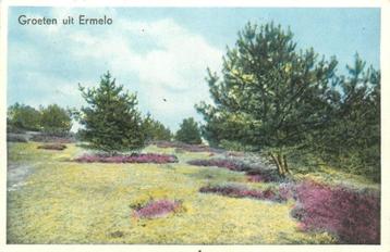 (387-219-037) Ermelo Groeten uit beschikbaar voor biedingen