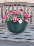 nieuwe bloembak heksenketel, Minder dan 30 cm, Rond, Nieuw, Ophalen of Verzenden