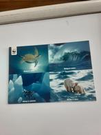 WWF   WERELD NATUUR FONDS, Ophalen of Verzenden, 1960 tot 1980, Natuur