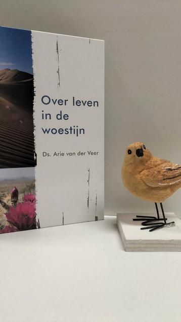 Veer, Ds. A. van der; Over leven in de woestijn  beschikbaar voor biedingen
