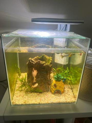 Superfish Aqua Qube 30 beschikbaar voor biedingen