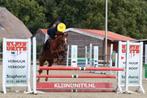 Brave D-pony, merrie 18jr., Merrie, Gechipt, Springpony, L