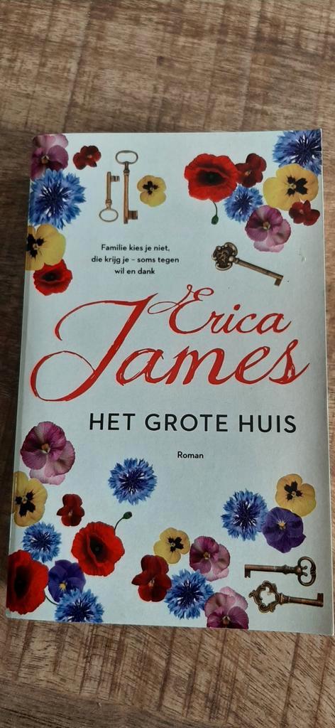Erica James - Het grote huis, Boeken, Literatuur, Zo goed als nieuw, Nederland, Ophalen of Verzenden