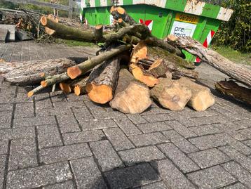 Partij open haardhout beschikbaar voor biedingen