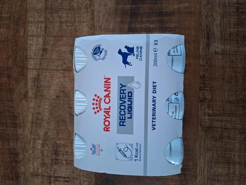 Sonde voeding hond en kat Royal canin, Dieren en Toebehoren, Dierenvoeding, Hond, Ophalen