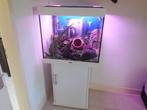 complete witte juwel lido 200 led met toebehoren/ inrichting, Ophalen, Zo goed als nieuw, Leeg aquarium