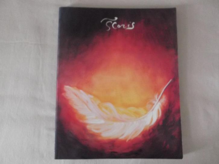 Floris Brinkman. Periode 1996 - 1999.  Julianadorp., Boeken, Kunst en Cultuur | Beeldend, Zo goed als nieuw, Schilder- en Tekenkunst