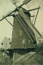 Leeuwen bij Maasniel molen 2012, Ophalen of Verzenden, 1980 tot heden, Ongelopen, Limburg
