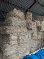 Stro balen, tarwestro, Dieren en Toebehoren, Dierenvoeding, Ophalen, Vee