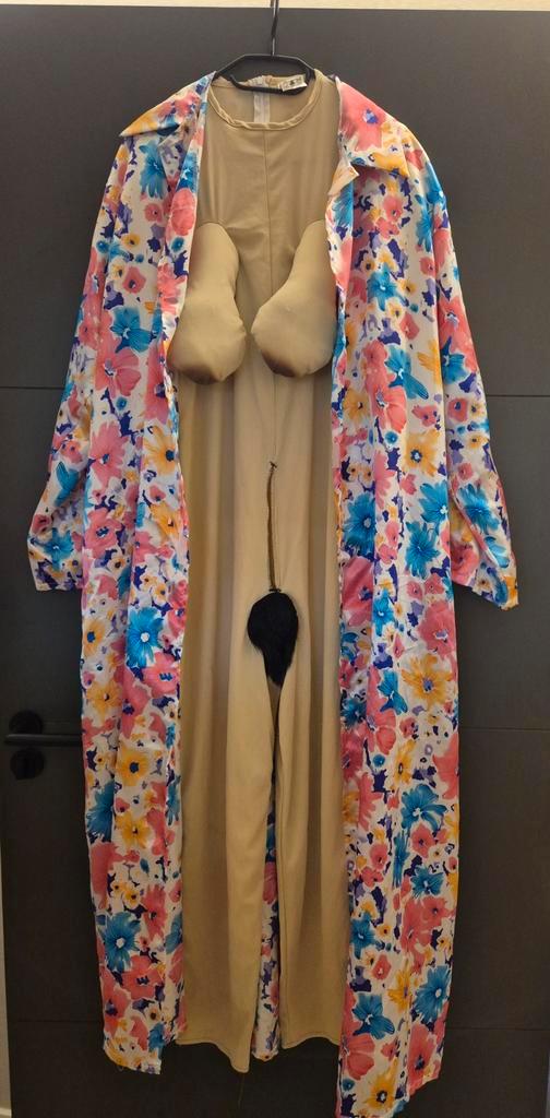 Ma Flodder / blote tieten pak, Kleding | Heren, Carnavalskleding en Feestkleding, Ophalen of Verzenden