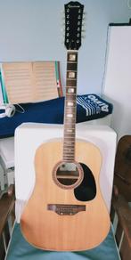Vintage 12-snarige Epiphone (project), Muziek en Instrumenten, Ophalen, Gebruikt, Hollow body, Epiphone