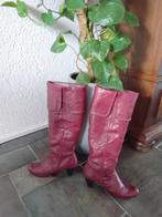 Bordeauxrode dameslaarzen, maat 40, Kleding | Dames, Schoenen, Ophalen of Verzenden, Zo goed als nieuw, Rood, Hoge laarzen
