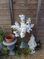 8 witte orchidee takken., Ophalen of Verzenden, Zo goed als nieuw