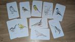 Natuur kaartjes vogels Flow, Ophalen of Verzenden, Nieuw