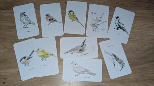Natuur kaartjes vogels Flow, Hobby en Vrije tijd, Scrapbooking, Nieuw, Ophalen of Verzenden