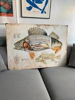 Vintage biologie poster vis Baars, Ophalen