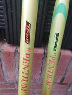 Vaste stok hengelsport spro pentium, Watersport en Boten, Hengelsport | Witvissen, Ophalen of Verzenden, Vaste hengel