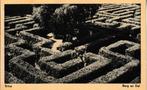 BERG en DAL - ERICA, Verzamelen, Ansichtkaarten | Nederland, Verzenden, 1940 tot 1960, Gelopen, Gelderland