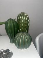 Set cactussen, Ophalen of Verzenden