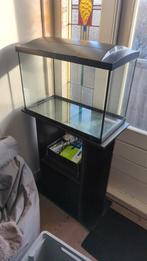Aquarium / Fishtank 70 L + meubel + starter pack, Dieren en Toebehoren, Vis