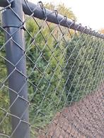Draadhek / Gaashekwerk, Tuin en Terras, Gaas en Draad, Ophalen, Gebruikt, Minder dan 10 meter, Gaas