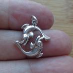 zilveren sterrenbeeld hanger vissen [736], Verzenden, Zo goed als nieuw, Kruis of Symbool, Zilver